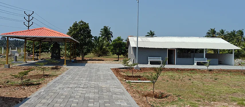 Walking paths and open chairs