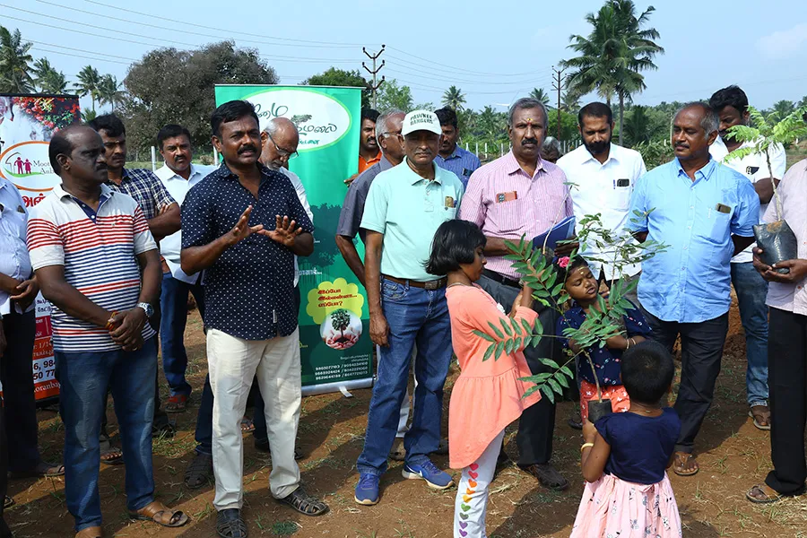 Tree Planting